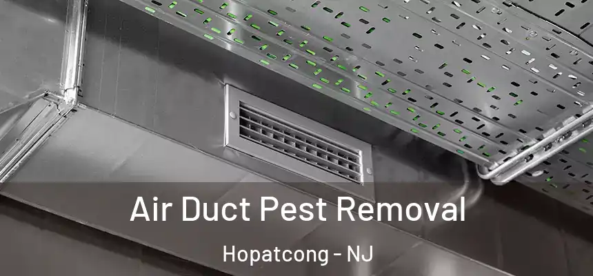  Air Duct Pest Removal Hopatcong - NJ