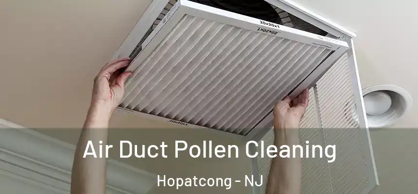  Air Duct Pollen Cleaning Hopatcong - NJ