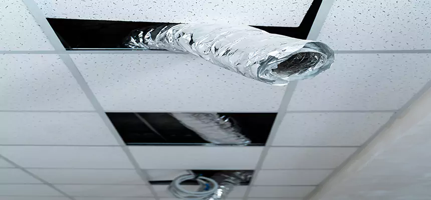 Affordable HVAC Sanitizing After Pest Removal in Hopatcong