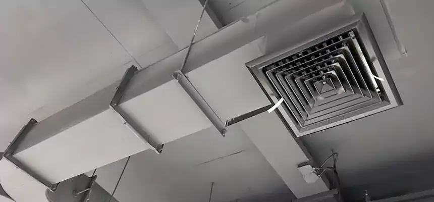 Restorative Allergy Relief Vent Cleaning – Coil, Blower & Housing Detail in Hopatcong