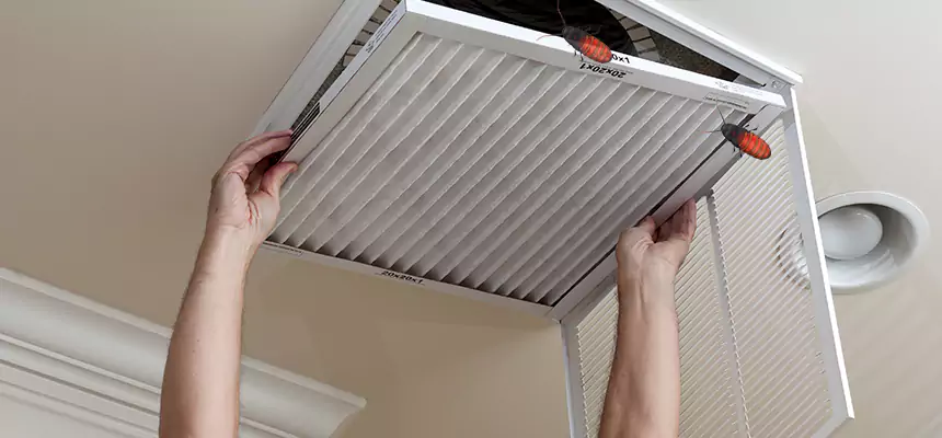 Our Insect Removal from Air Ducts Services in Hopatcong, NJ