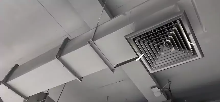 Our Pest Removal From Ducts Services in Hopatcong, NJ