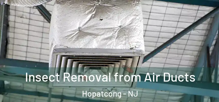  Insect Removal from Air Ducts Hopatcong - NJ