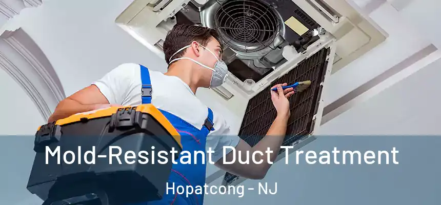  Mold-Resistant Duct Treatment Hopatcong - NJ