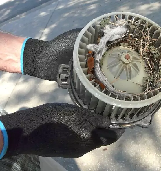 About Air Duct Mice Removal in Hopatcong, NJ